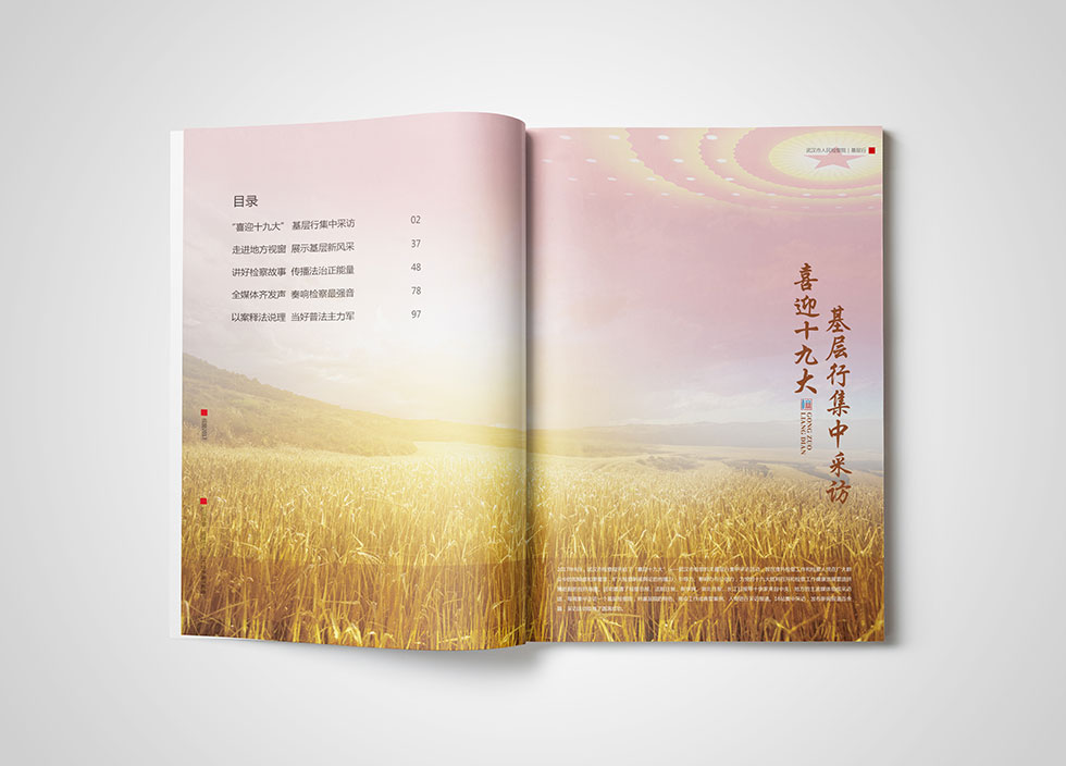 武漢檢察院畫(huà)冊(cè)設(shè)計(jì)